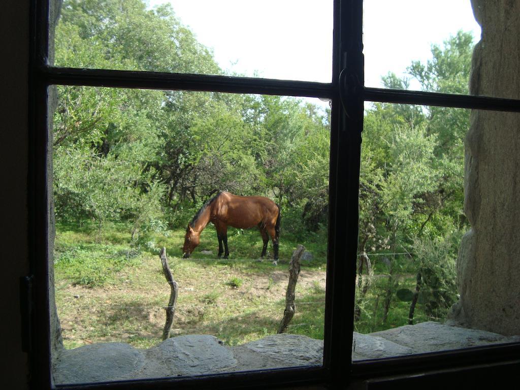 Cabanas En Piedras Maia Мерло Номер фото